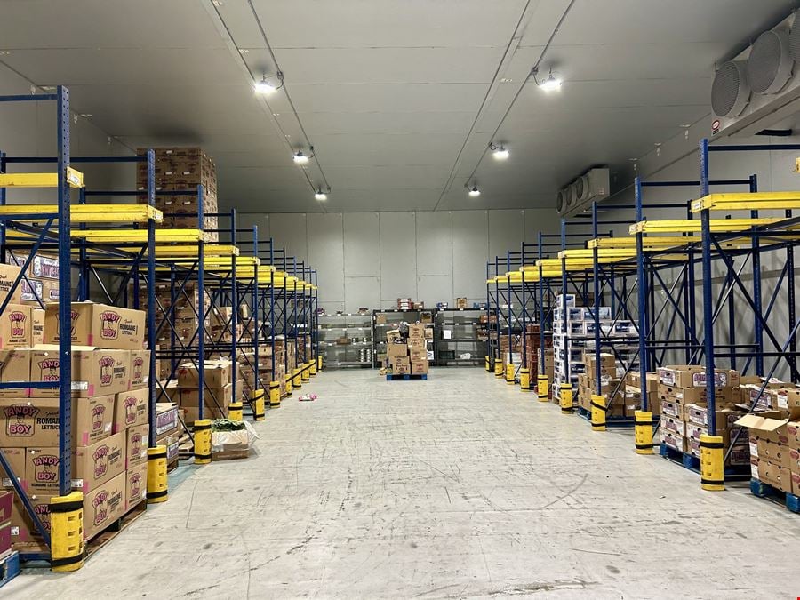 Sunfresh Produce