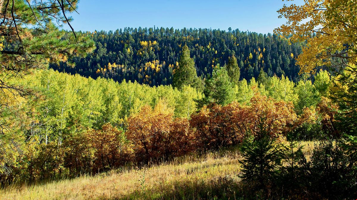 The Ranch at Angel Fire