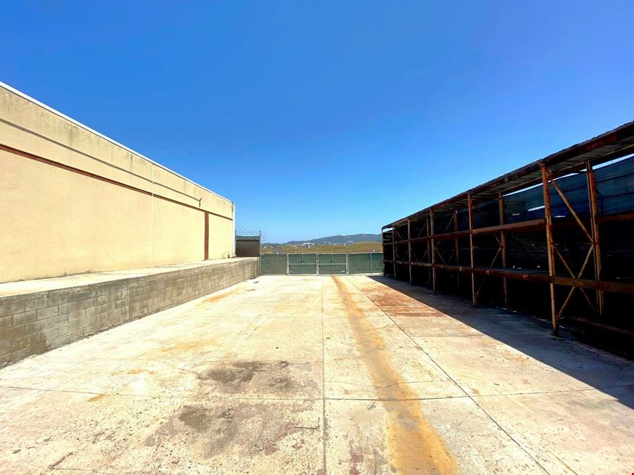 Free Industrial Park