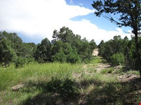 10445 State Highway 337