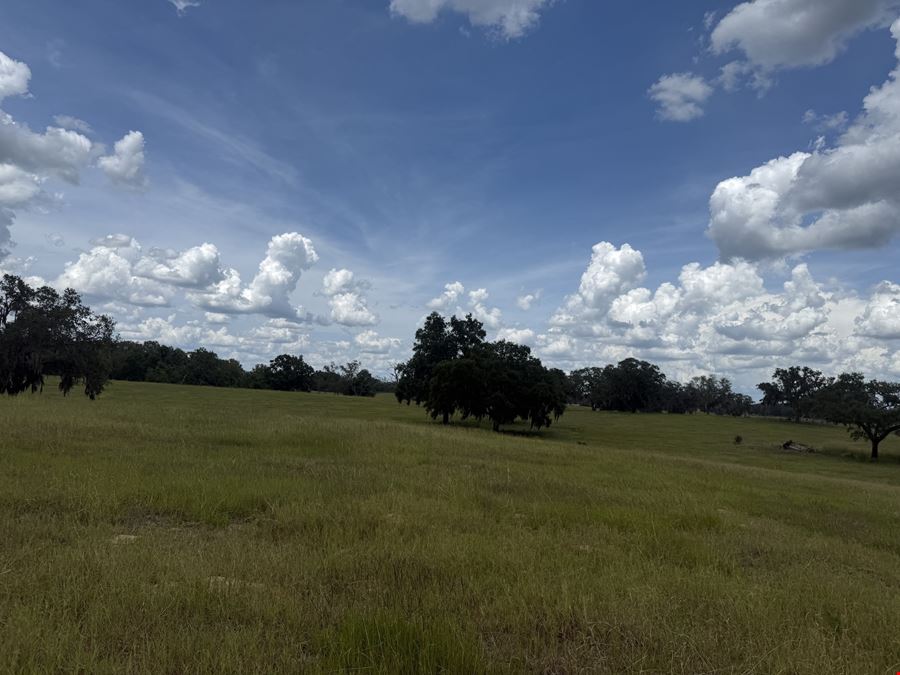 29± Acre Marion County Ranchette