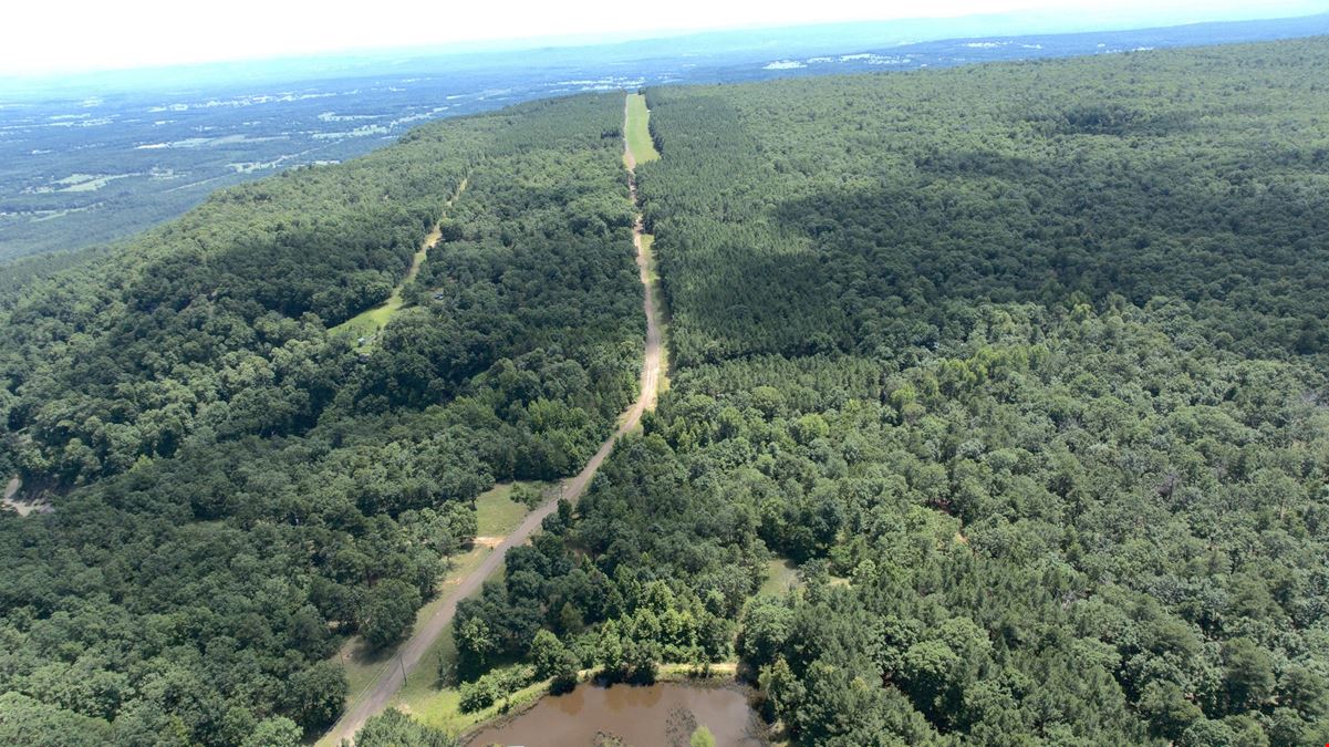 Spring Mountain Airstrip Lot