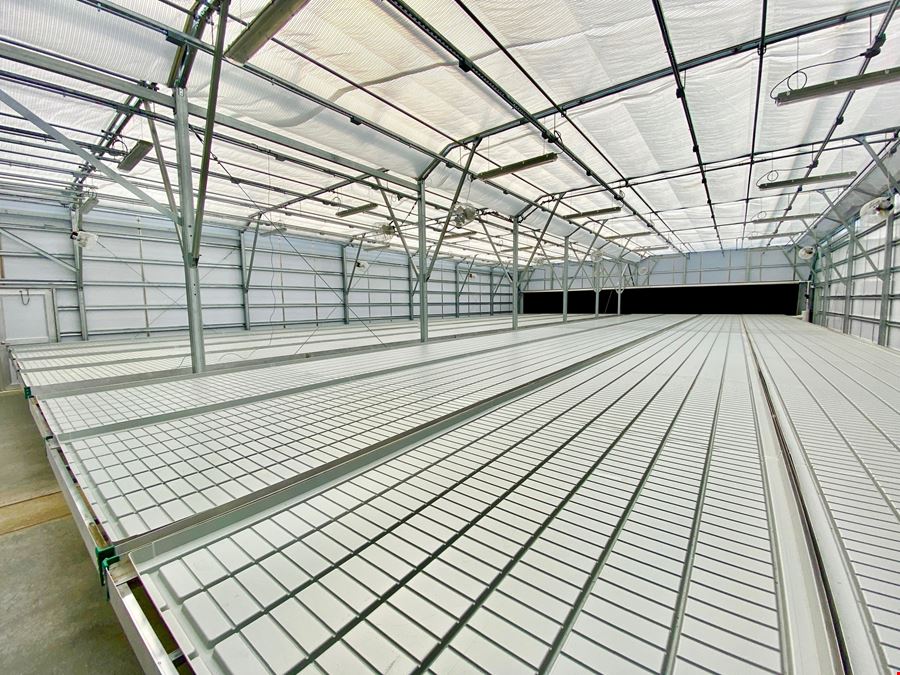 CBD farm