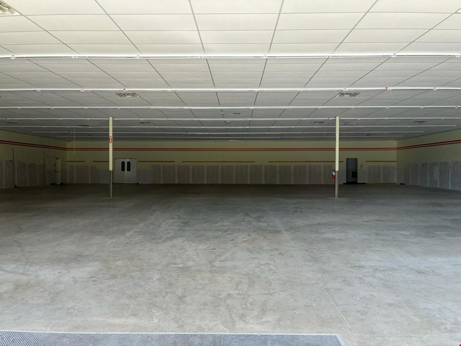Freestanding Pineland TX
