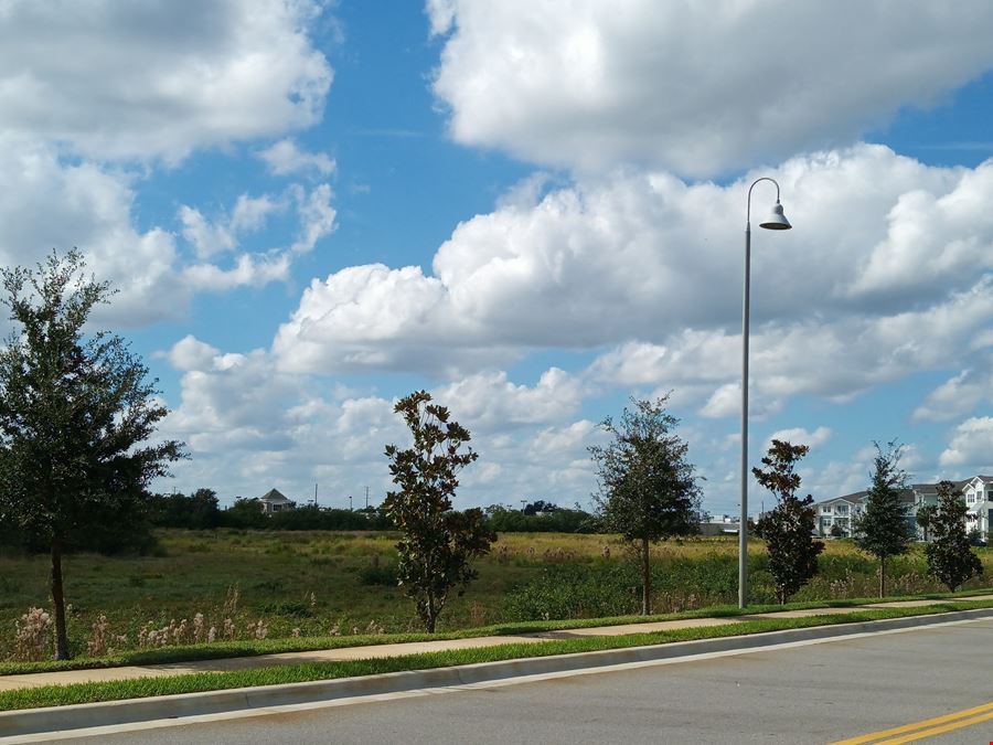 12.4 Acre Commercial Site Behind Publix