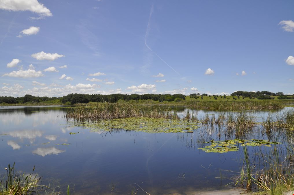 Dundee Lakes Residential Land