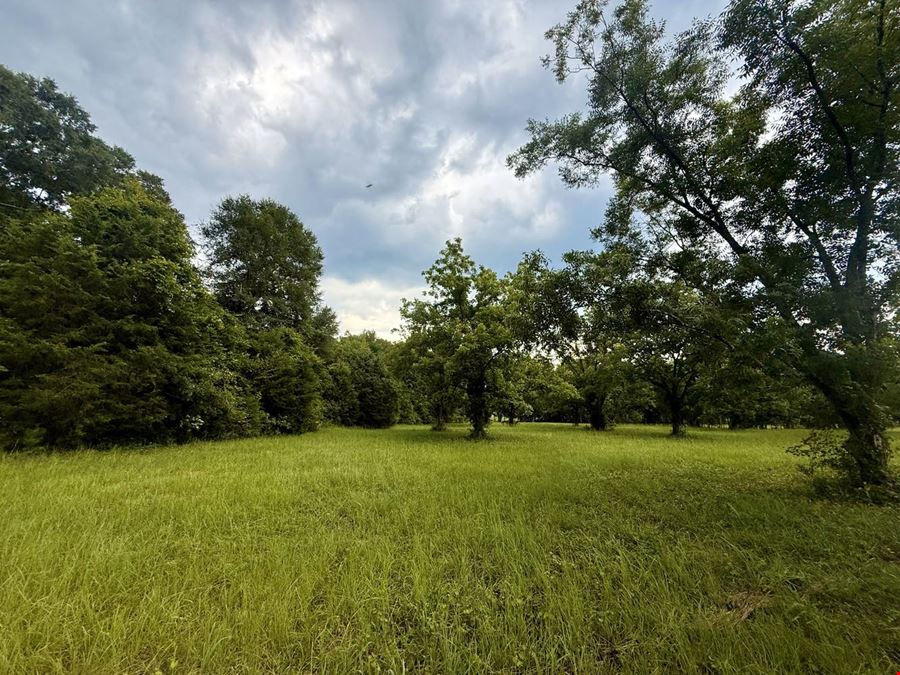 940 County Road 14, Auburn, AL 36830