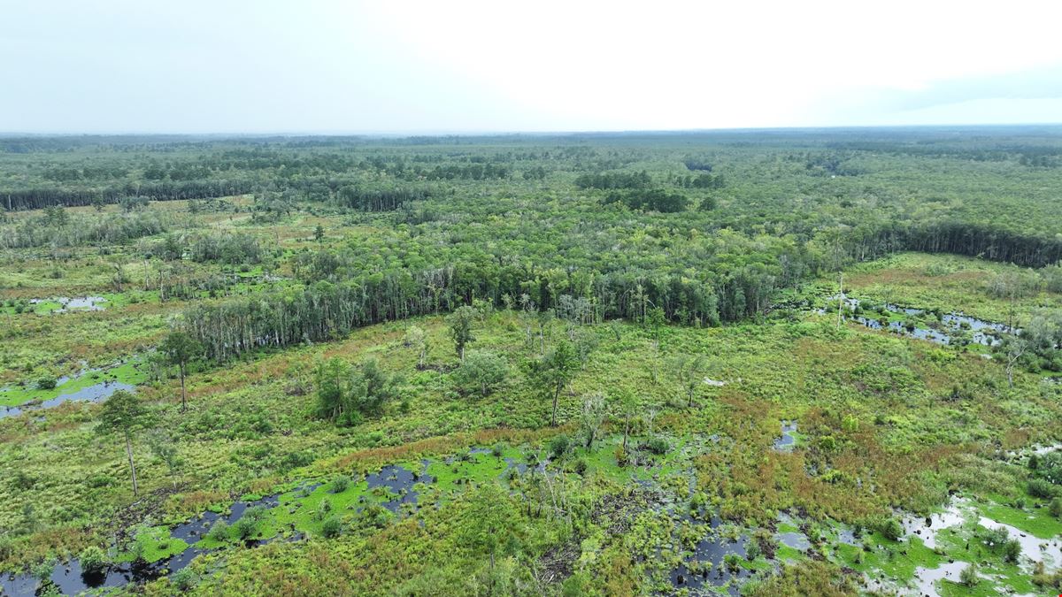 Camden Satilla River Tract