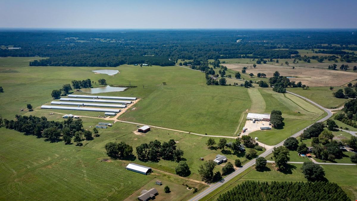 Hope Arkansas Chicken Farm