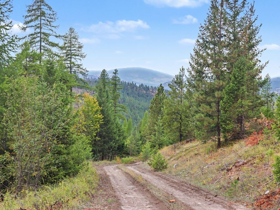 320 Private Wooded Acres West of Kalispell, Montana