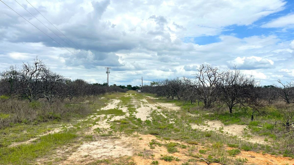 Underpass Road 74 ± Acre Land Opportunity
