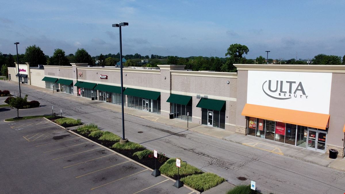 Springfield Commons