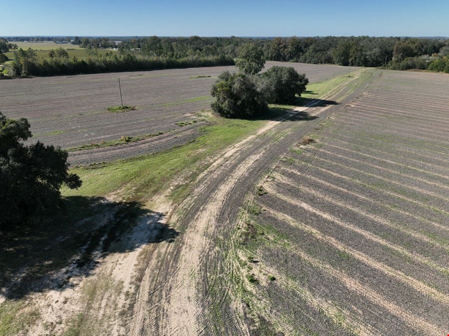 Marianna Farm and Hunting