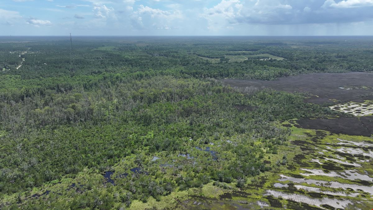 113 Marshfront Acres in McIntosh County Georgia