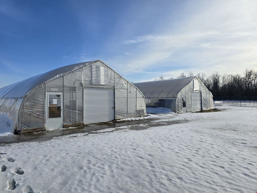 Tawas City - Former Operating/Turnkey Cannabis Outdoor Cultivation Operation