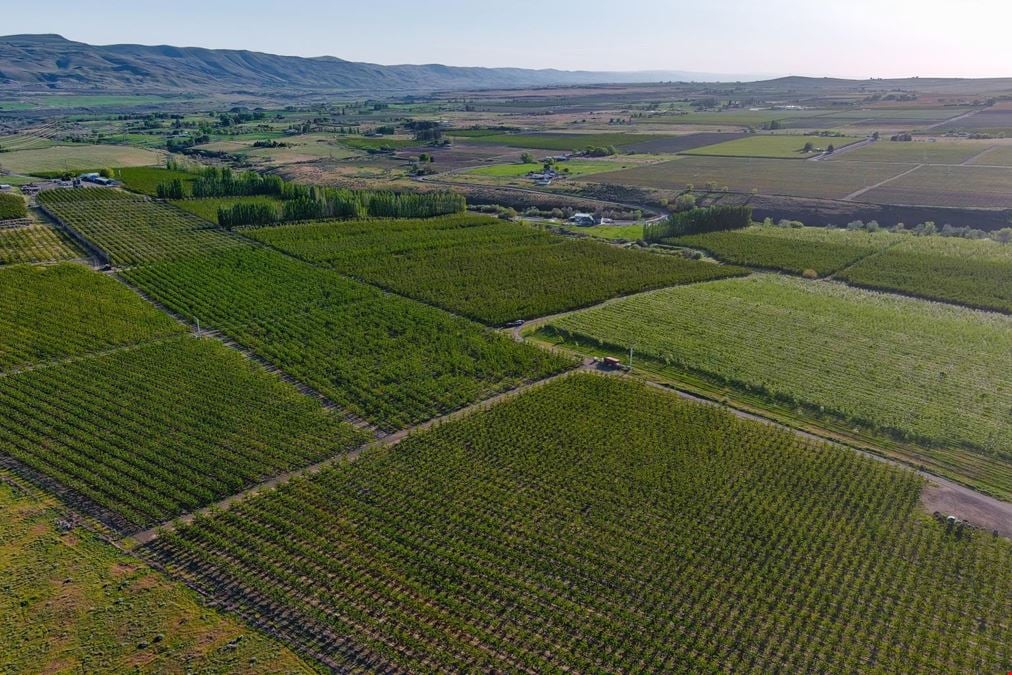 Benton Acord Orchard