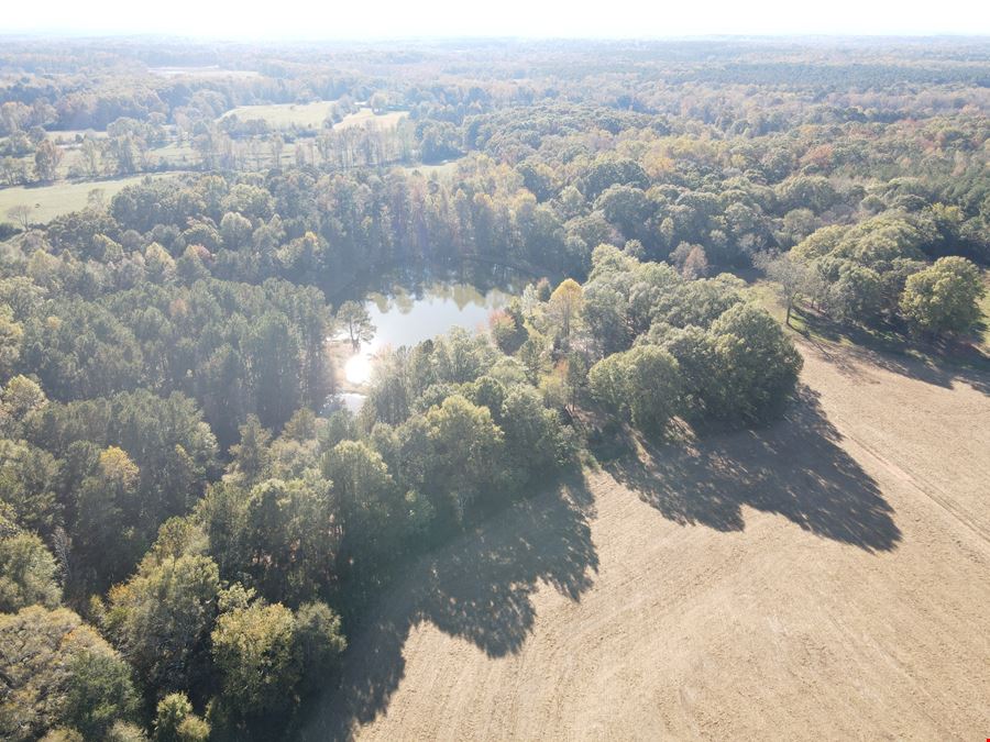 71.75 Acres - Marks Rd