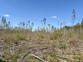 Georgiana Recreation Tract
