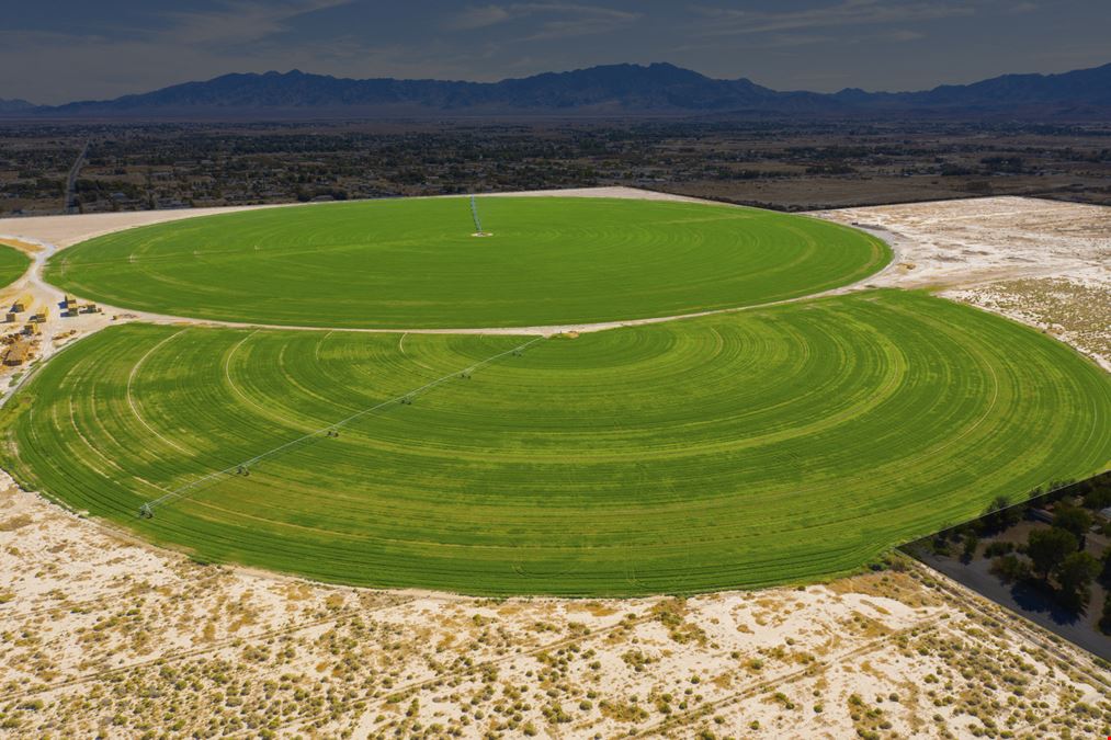 Pechstein Ranch