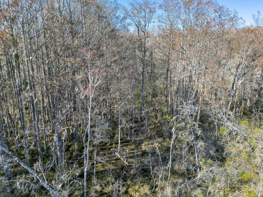 Leesburg 80-Acre Recreational Tract