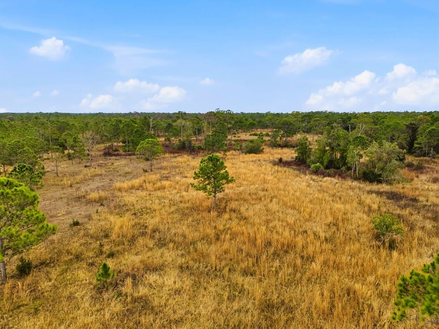 Bluefield Ranch Hunting Preserve