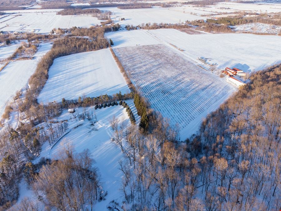 Niagara Wine Trail Investment Land