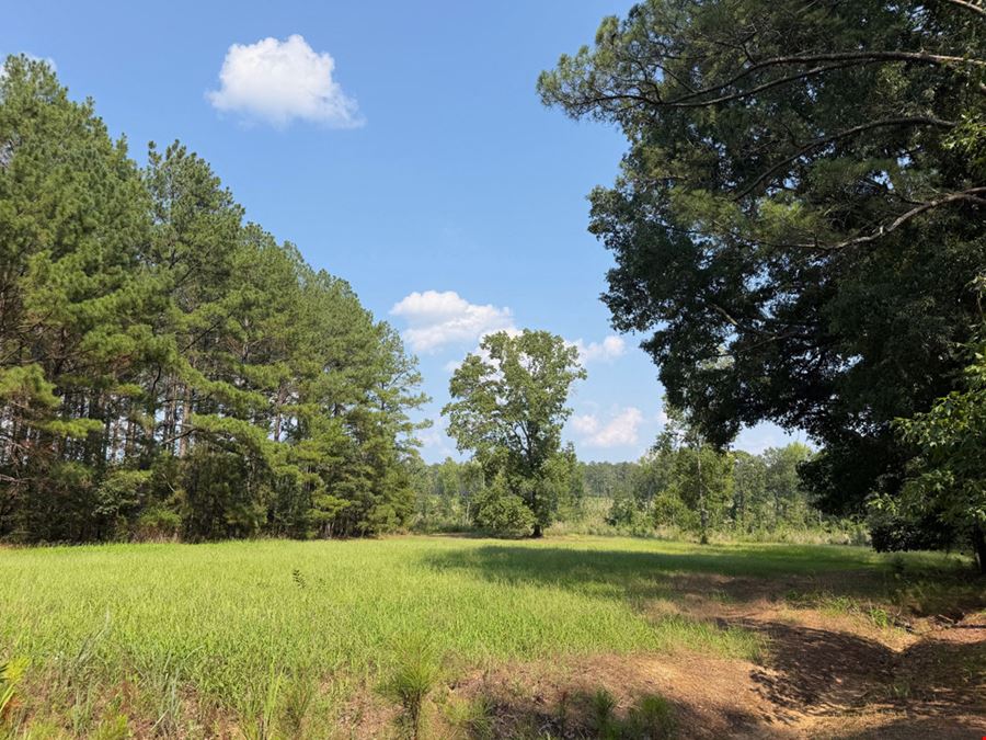 Jordan Andrews Tract