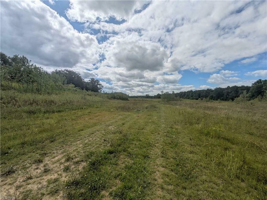 Saybrook I-90 / SR 45 Interchange Commercial Development Site - 36 acres Vacant Land