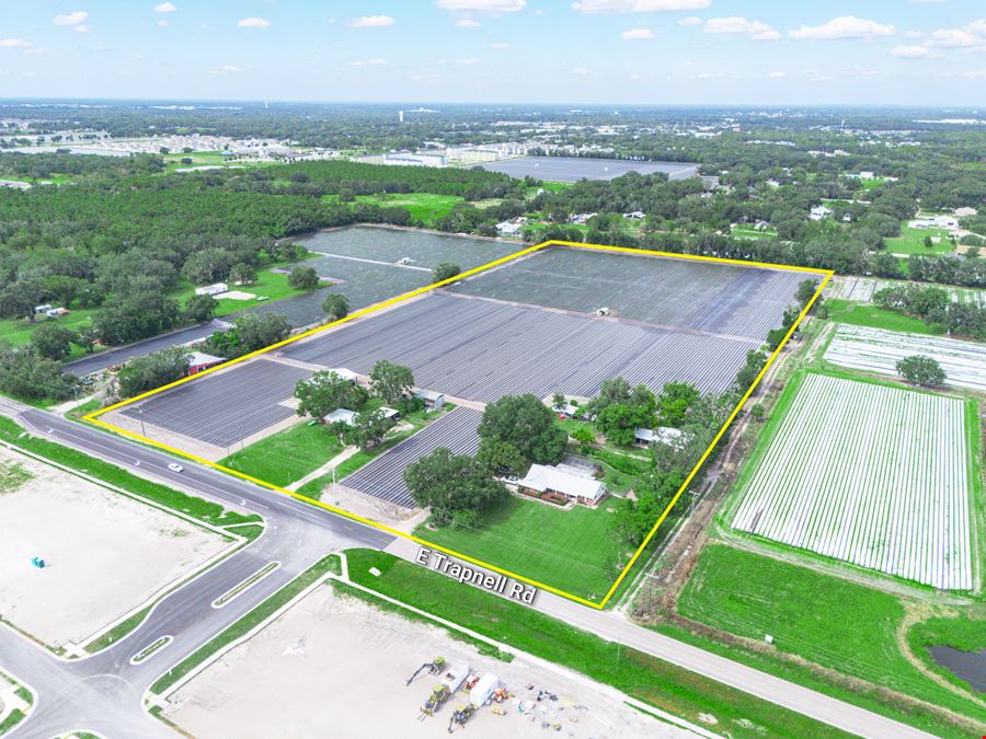 Trapnell Residential Development