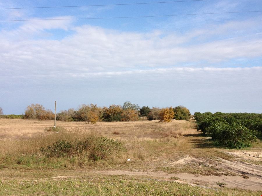 Vacant Land - Venus, Florida on US27 south of Sebring