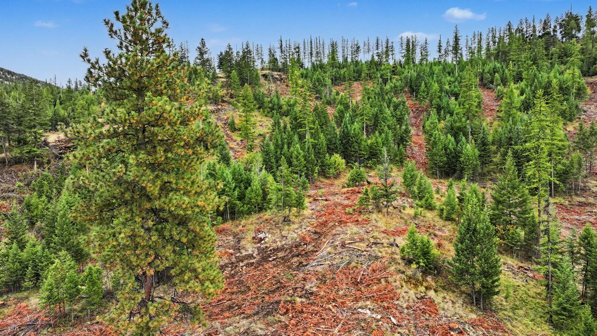 320 Private Wooded Acres West of Kalispell, Montana
