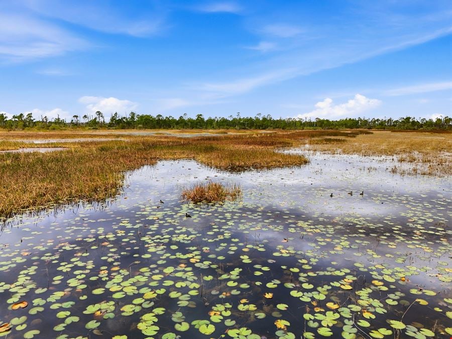 Bluefield Ranch Hunting Preserve