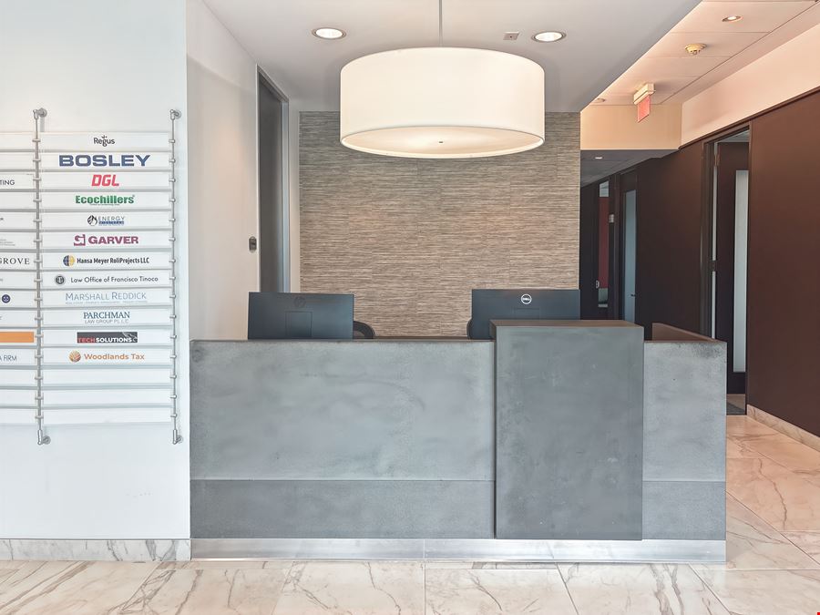 Regus - The Woodlands - Waterway