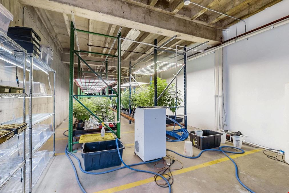 TWO SUITE WAREHOUSE WITH MEGA ELECTRICITY
