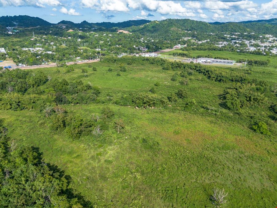 Bo Quebrada Larga, Fincas E y T Anasco