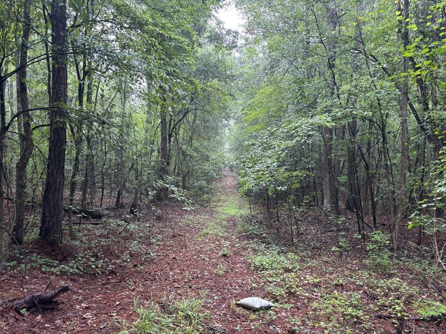 Highway 20 - 131.12 Acres