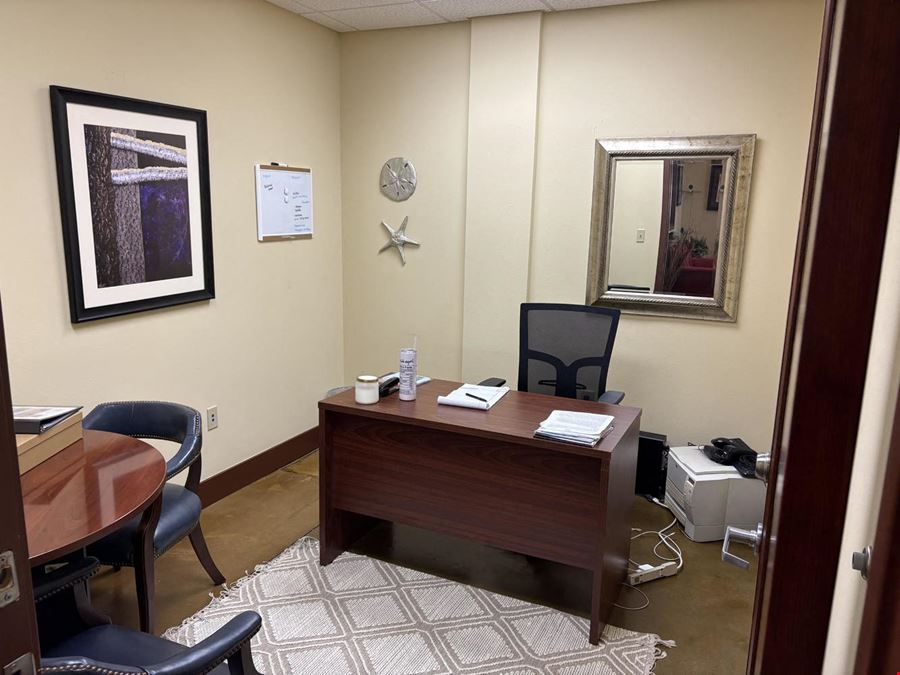 Newer Professional Office