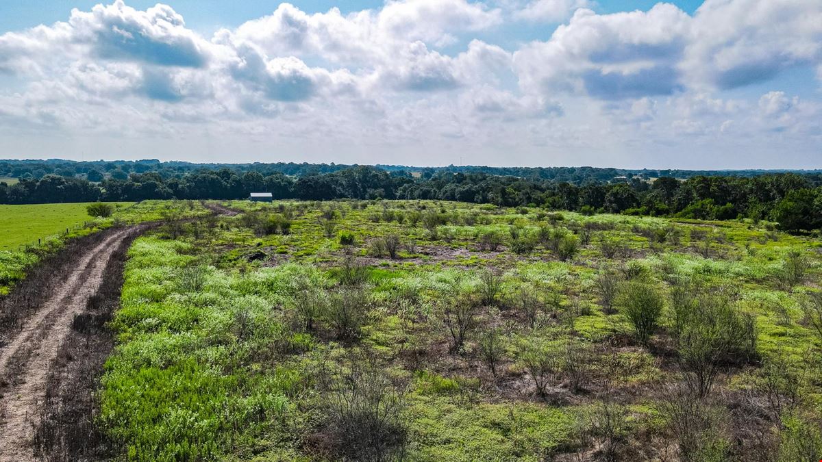 14909 Newman League Road