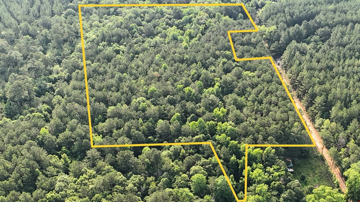 Dotson 10 Acres