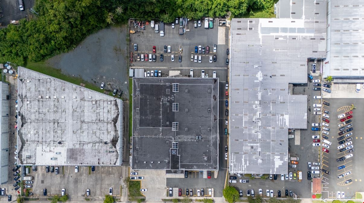 Amelia Office Building – Prime 10,000 SF for Lease in Guaynabo