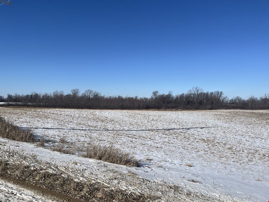 49.86 Acres AG Vacant Land in Chelsea