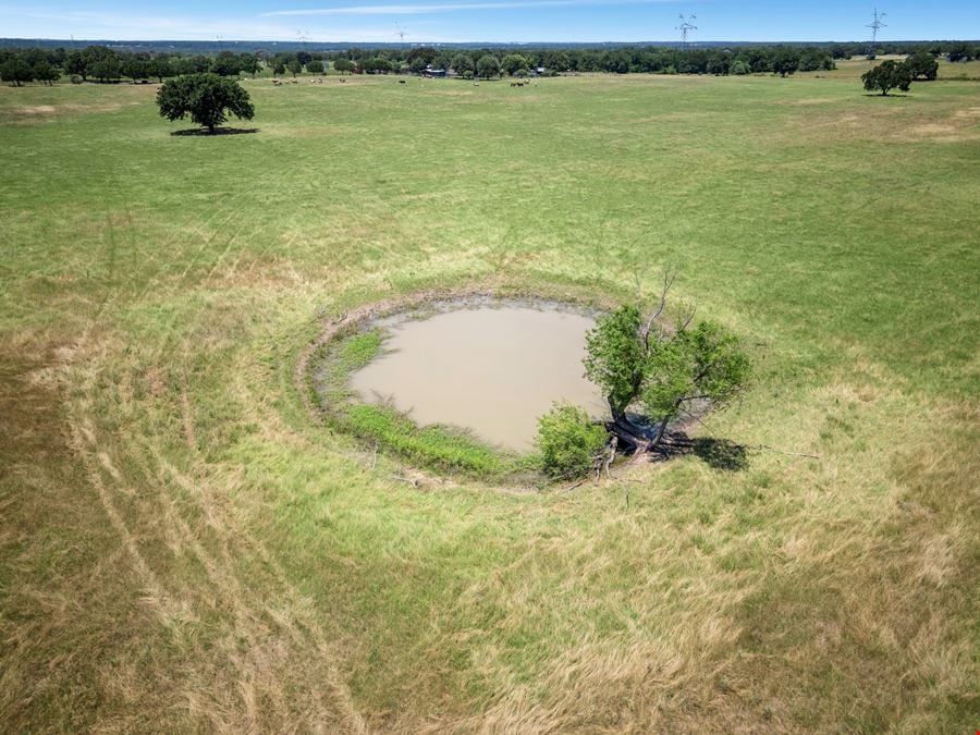 Working Farm & Ranch
