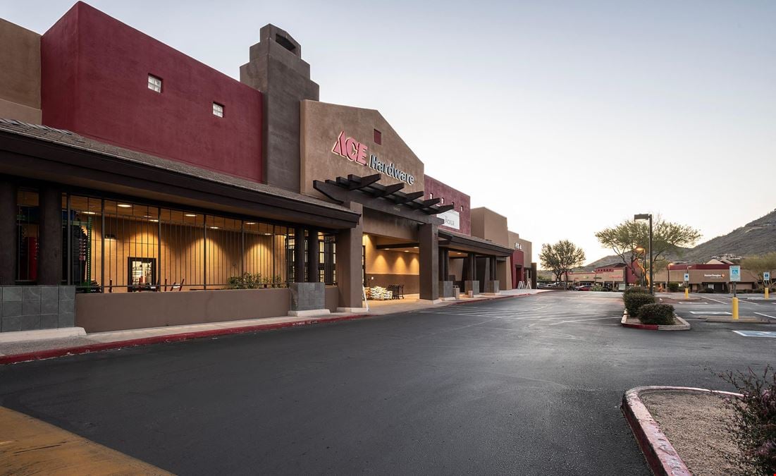 Terravita Marketplace | Ace Hardware + The Picklr Anchored Neighborhood Center