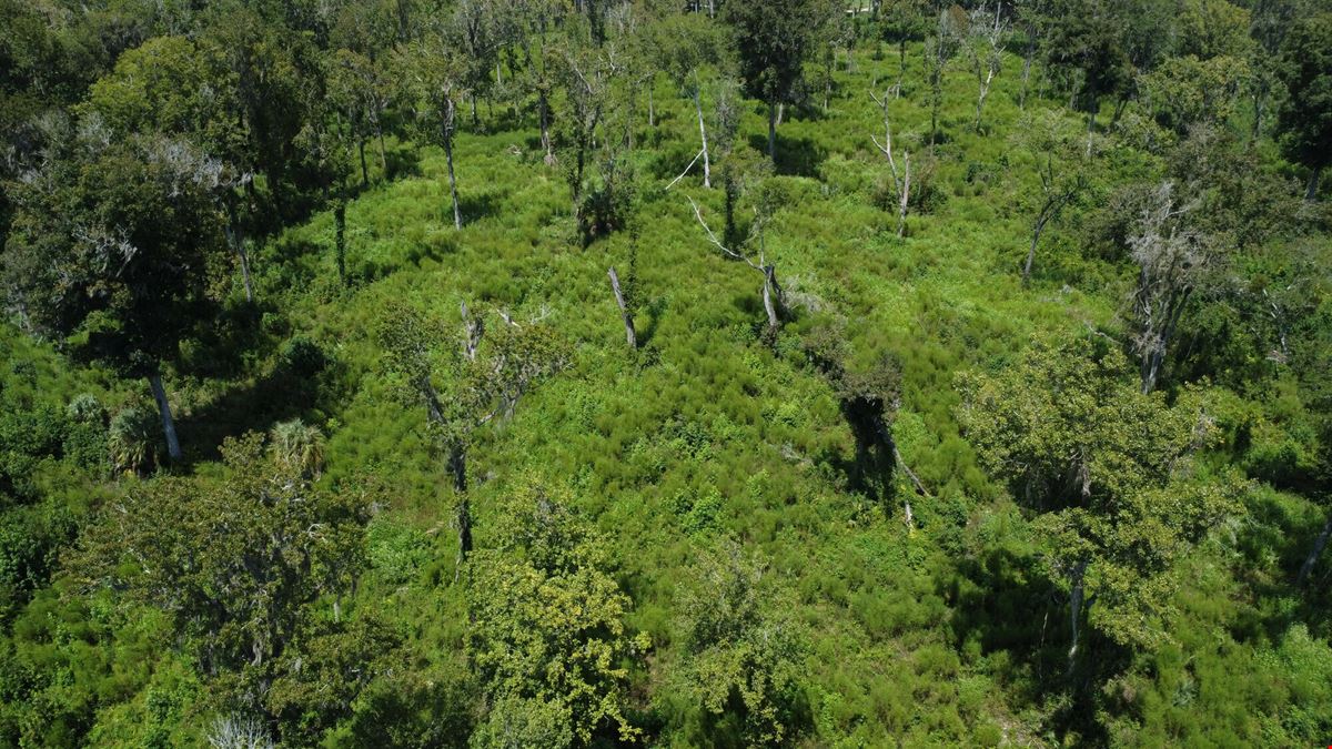 59+/- Acres Horse Country