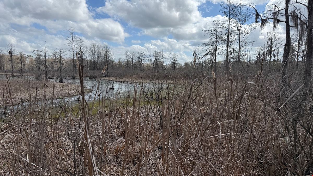 65 Acres Near Lake Seminole – Hunting and Recreation Land