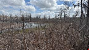 65 Acres Near Lake Seminole – Hunting and Recreation Land