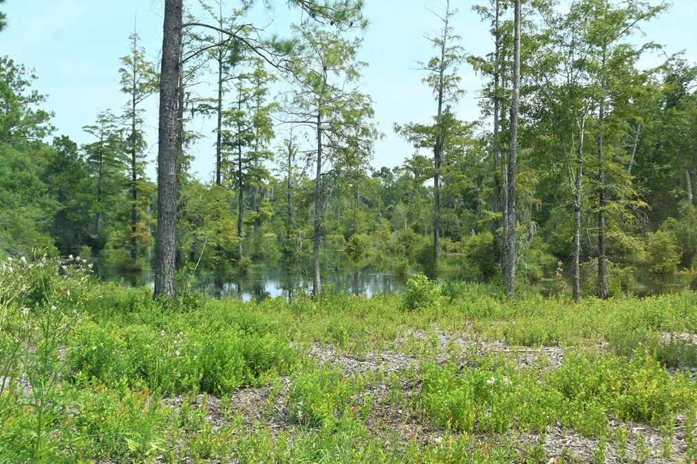 850 +/- Acres For Sale- Brunswick County, NC