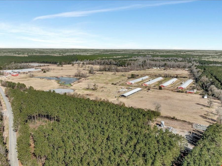 Breeder Farm In Marshall