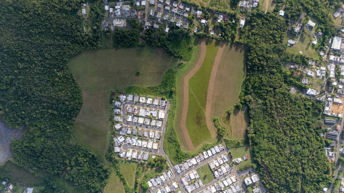 16 Cuerdas Strategically Located @ Camaceyes, Aguadilla FOR SALE