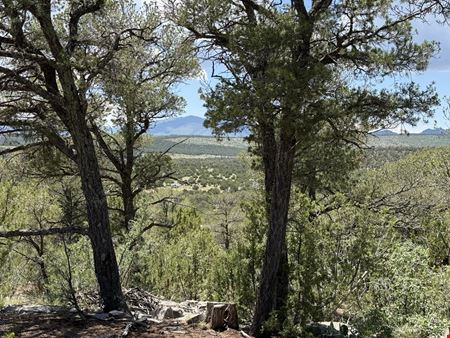 Preview of Land space for Sale at 44 forest rd 321 estancia nm 87016
